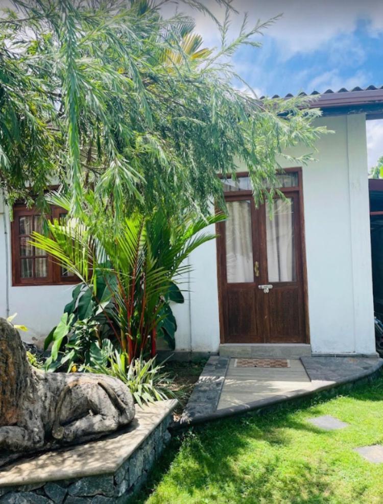 Ferienwohnung Ice Berg Dehiwala-Mount Lavinia Exterior foto